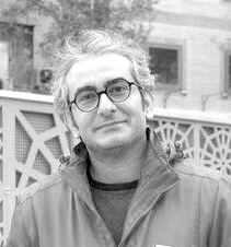حامد انوشه