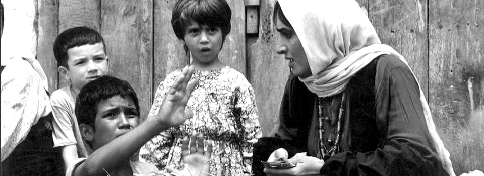 مهــاجر کوچک